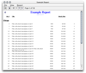 DataVision report output window (small)